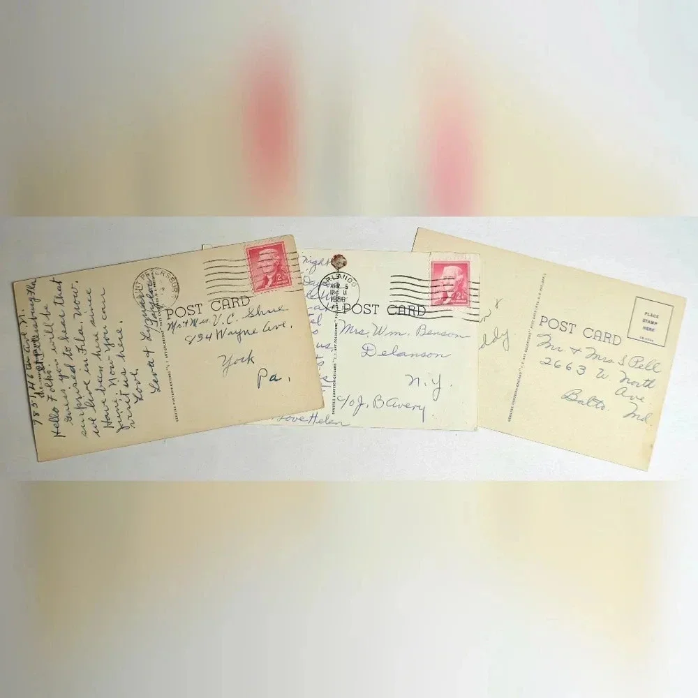 Lot of 3 Fabulous Vintage FLORIDA Postcards